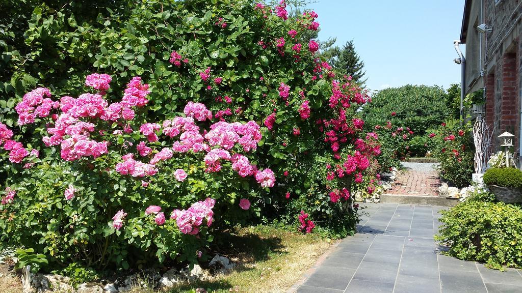 בוילון Villa Louise מראה חיצוני תמונה